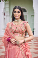 Panzora Embroidery Lehenga